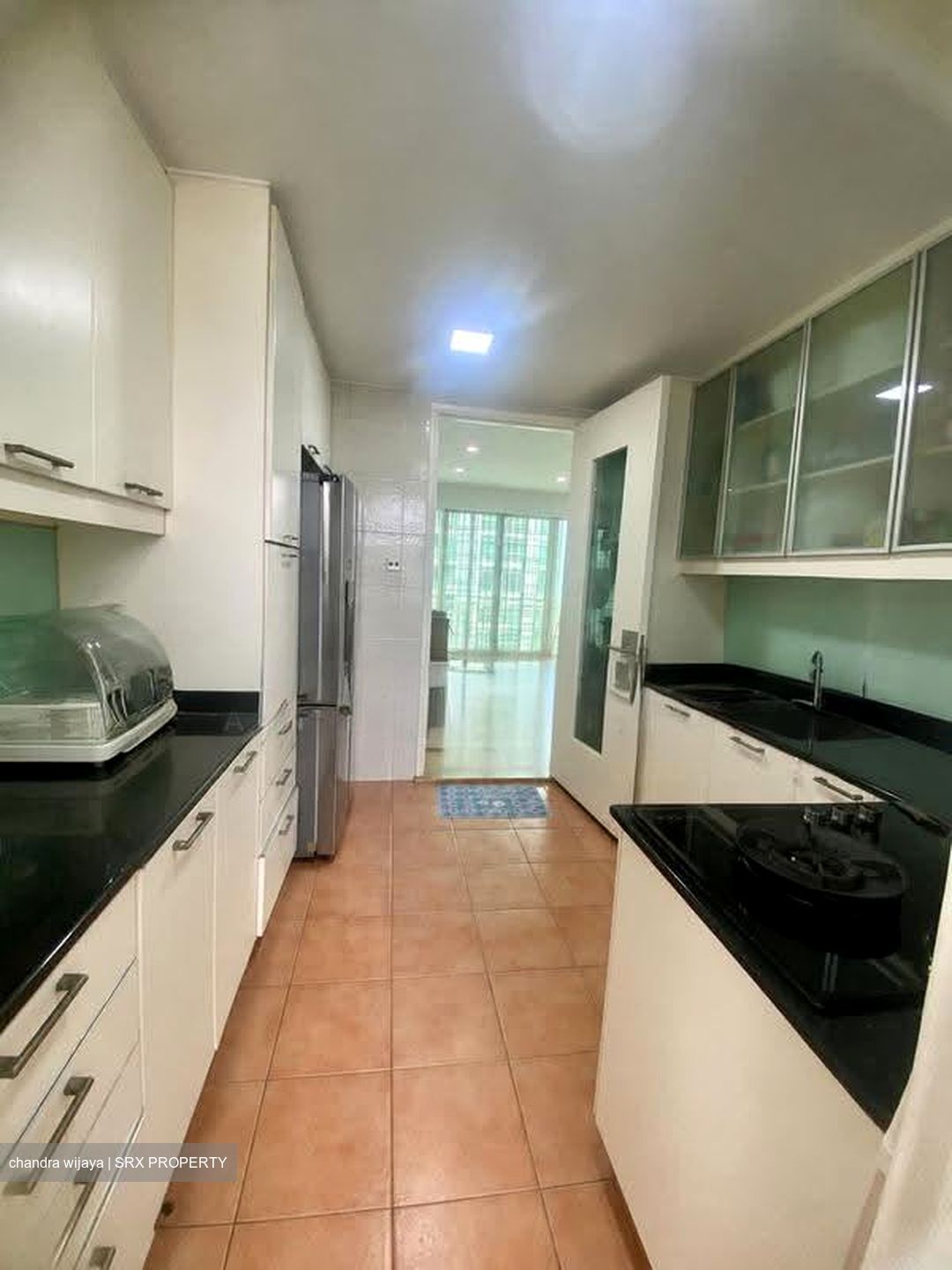 Melrose Park (D10), Condominium #627857361